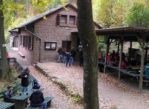 Auch im Wald hinterlässt Corona seine Spuren!