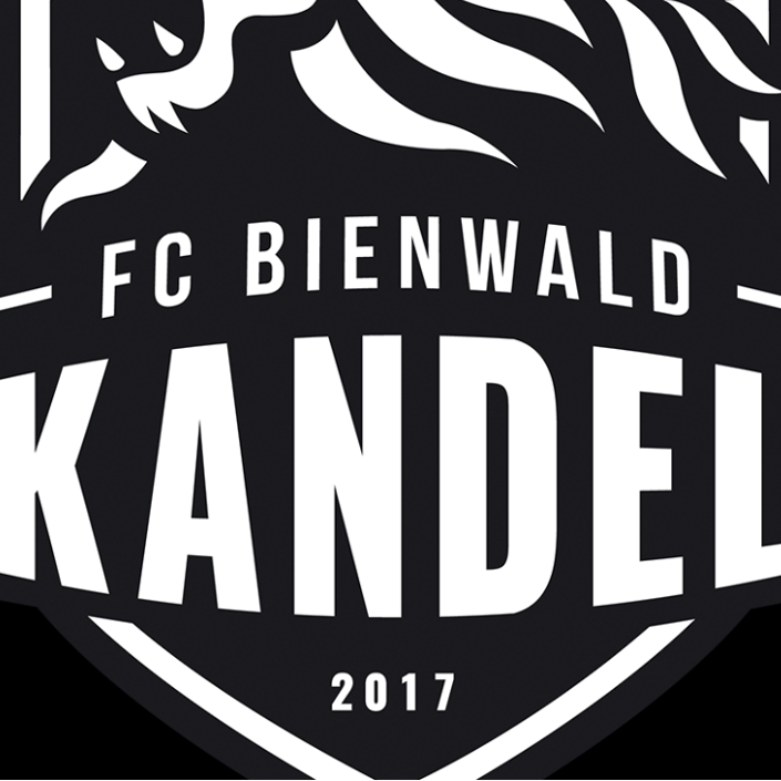 FC Bienwald Jugend