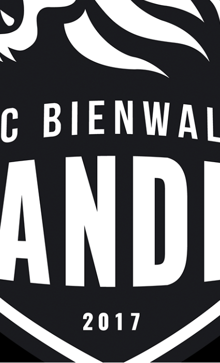 FC Bienwald Jugend