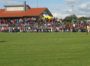 Rasen-Kehrmaschine