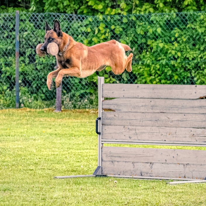 Damit kein Training im Dunkeln steht- wir brauchen neues Flutlicht!