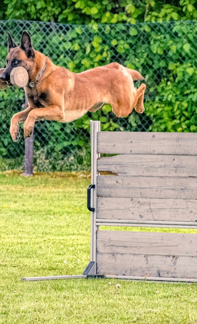 Damit kein Training im Dunkeln steht- wir brauchen neues Flutlicht!