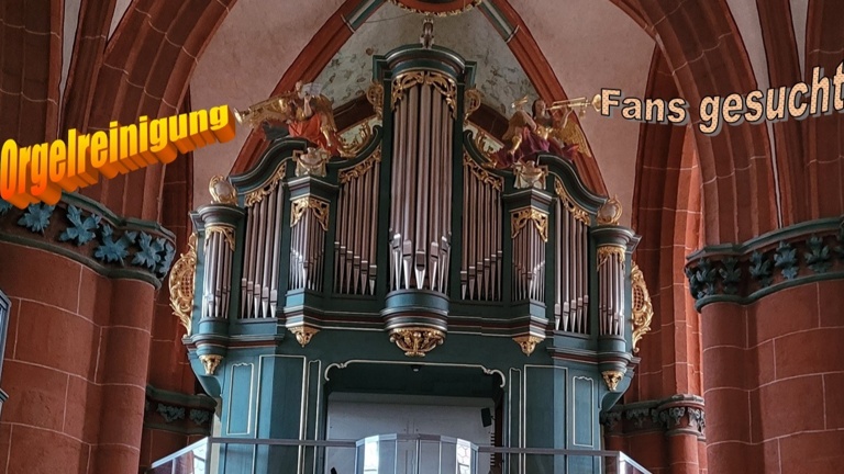 Orgelreinigung Liebfrauenkirche Schotten