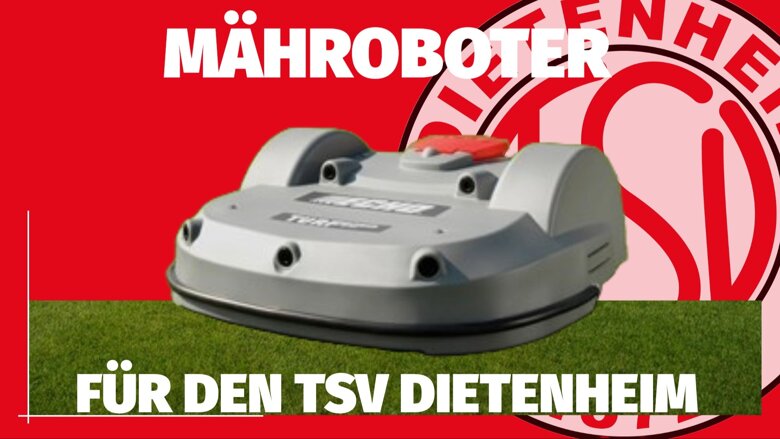 Große Ansicht vom Video