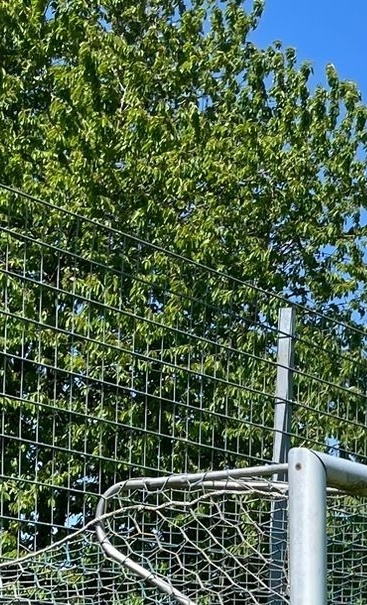 Tore Trainingsplatz