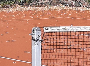 Instandsetzung Tennisplätze des TC Grevenbrück 1975 e.V.