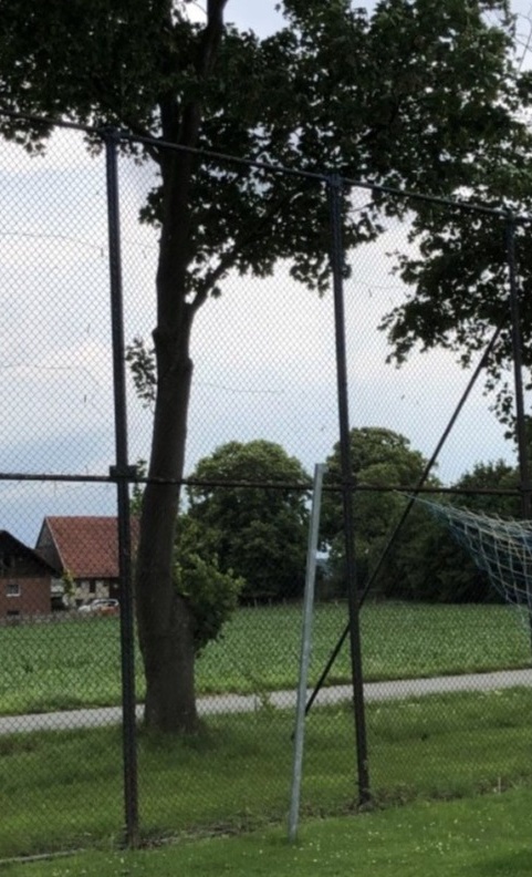 Modernisierung Sportstätte Hainberg-Stadion