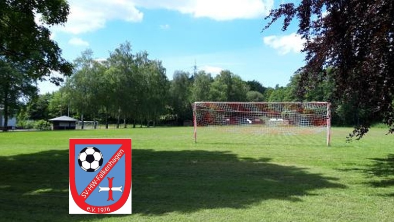 Rasenmäher Roboter Sportplatz