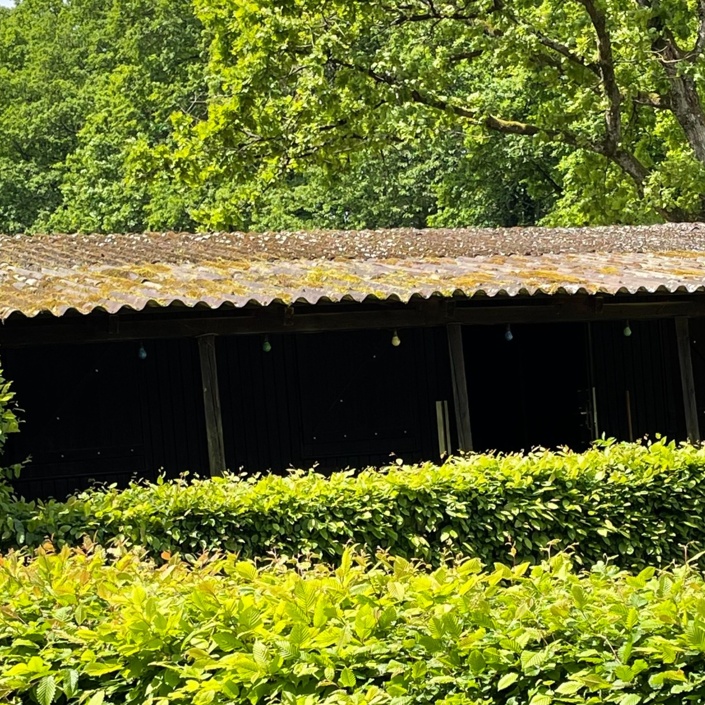 Sanierung der Vereinshütte, Angelverein Hetzerath e.V.