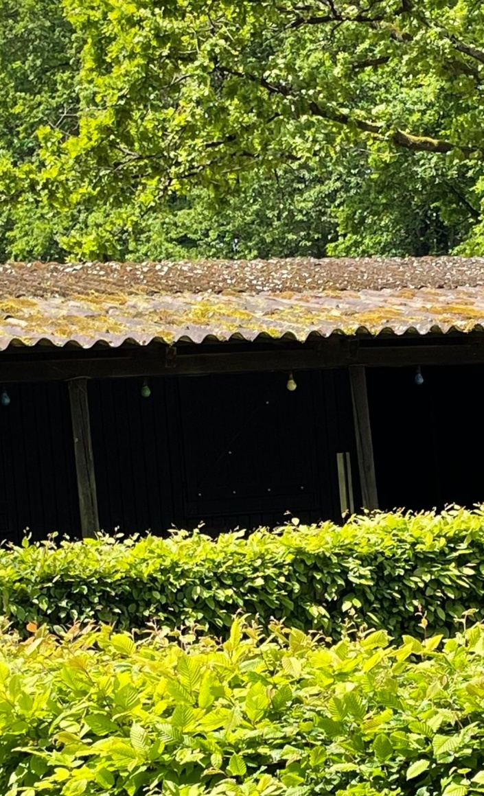 Sanierung der Vereinshütte, Angelverein Hetzerath e.V.