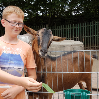 Tierfüttern und Foto mit deinem Lieblingstier