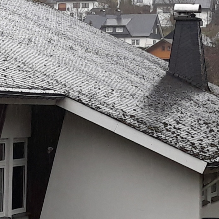 Dachsanierung Schützenhalle Hesborn