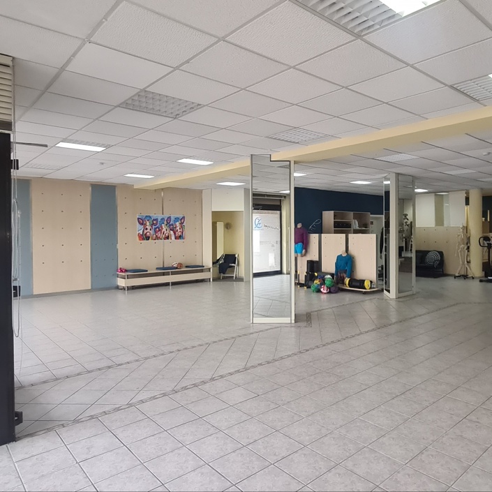 Bewegen e.V. Fit im Alltag