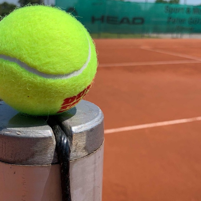 Sanierung der Tennisplätze in Hettstadt