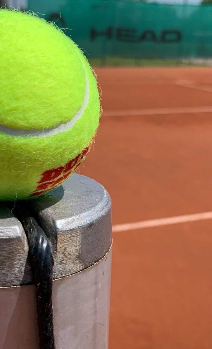 Sanierung der Tennisplätze in Hettstadt