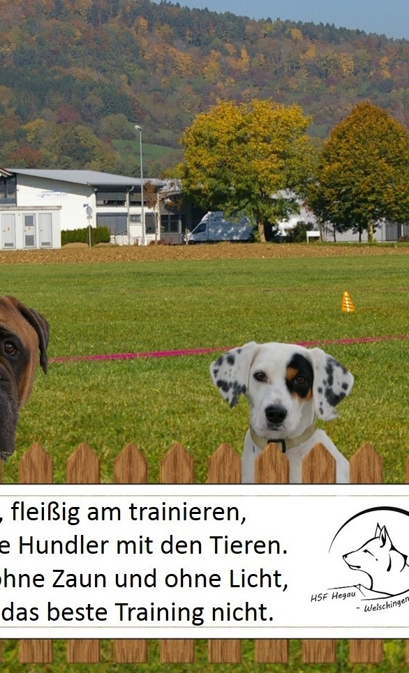 Neues Trainingsgelände umzäunen