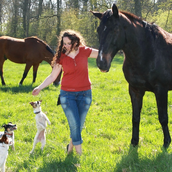 Tiere retten, heilen und vermitteln