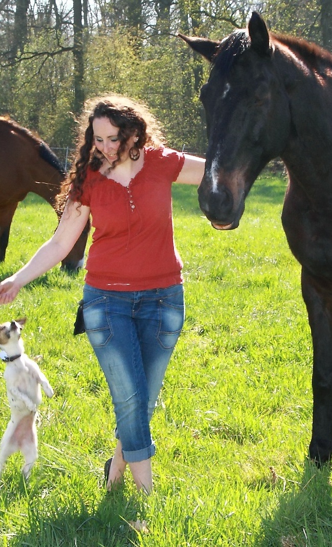 Tiere retten, heilen und vermitteln