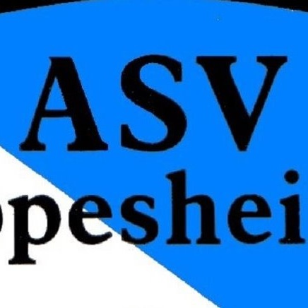 "Da steppt der Bär" mit 15 neuen Steppern