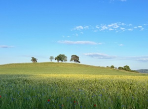 Wander und Familientreff Tannche Schlierbach