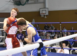 30. Bundesligasaison des Boxclub Chemnitz "Die Wölfe"