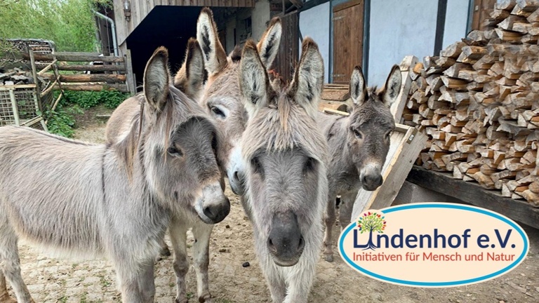 Start up Lindenhof e.V. Initiativen für Mensch und Natur