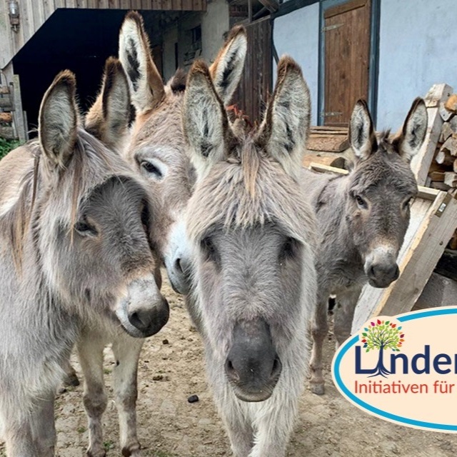 Start up Lindenhof e.V. Initiativen für Mensch und Natur