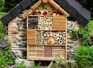 Bau und Aufstellung von drei Insekten-Nisthilfen