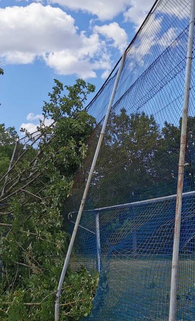 Neuer Ballfangzaun für den Sportverein