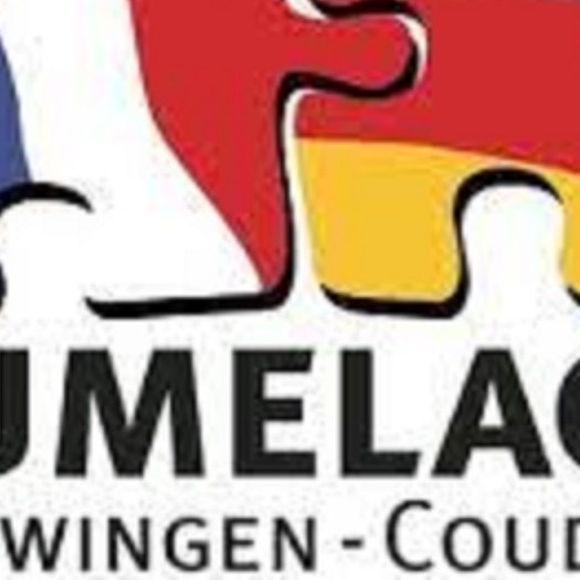 NG - Billafingen e. V. Förderung Jugendbegegnung DEU - FRA Coudoux