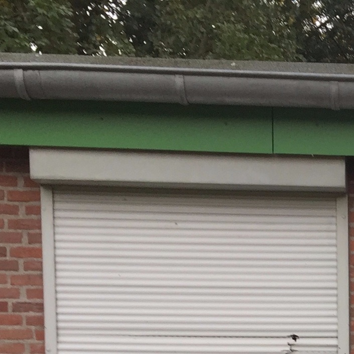 Renovierung Vereinsheim