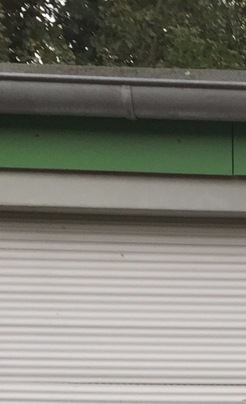 Renovierung Vereinsheim