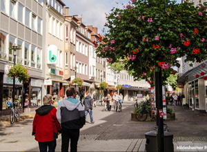 Blumenampeln für Sehnde