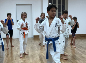 Ausstattung Dojo / Mehrzweckraum