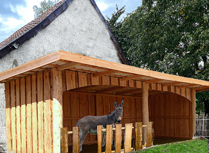 Esel-Putzplatz für Buller&Bü