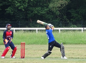 Kunstrasenteppich für Cricketpitch SC Naumburg e.V