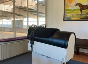 Movie - das galoppierende Holzpferd