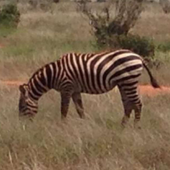Schüleraustausch Namibia 2019