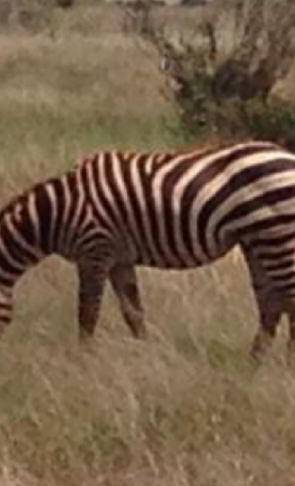 Schüleraustausch Namibia 2019