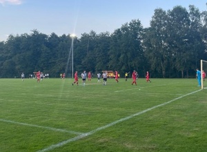 Projekt "Kunstrasenplatz" für Wildeshausen