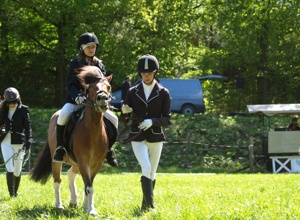 Ein Trainingsparcours für unseren Reitverein