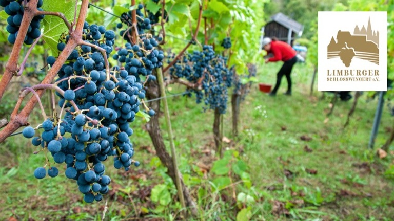 Limburger Schlosswingert e.V. - Werkzeuge für die Arbeit im Weinberg