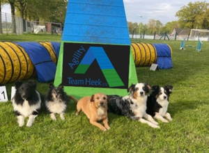 Flutlichtanlage für das Agility Team Heek