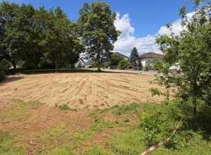 RSW grünes Klassenzimmer - Ein Garten zum Lernen, Leben und Zukunft