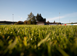 Anschaffung neues Fußballtor SV Immenried 1978 e.V.