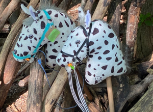 Ausrüstung für die Hobby Horsing Gruppe, Nördlingen