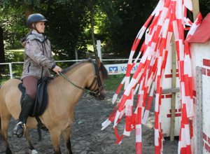 Neuer Round Pen für die Pferdesportfreunde