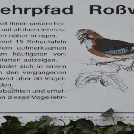 Vogellehrpfad