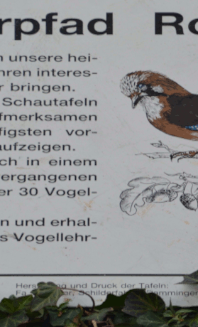 Vogellehrpfad
