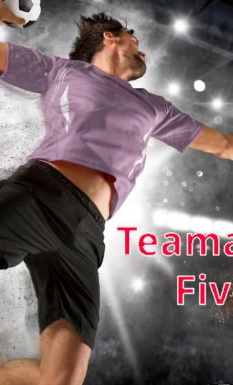 Teamsportausrüstung Five-a-Side